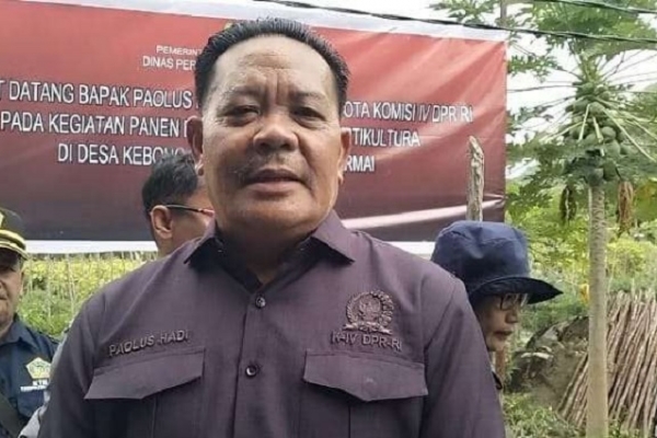 Paolus Hadi Ajak Petani Sintang Terus Semangat Berproduksi dan Jaga Kualitas Hasil Pertanian