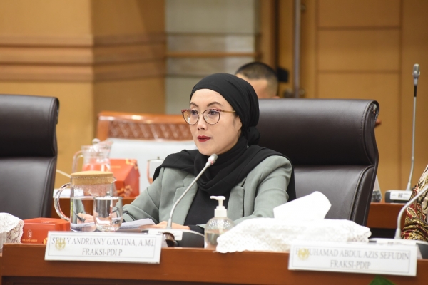 Selly Usulkan Hak Perlindungan Pemberi Kerja Dimasukan Dalam Pembahasan RUU PPRT