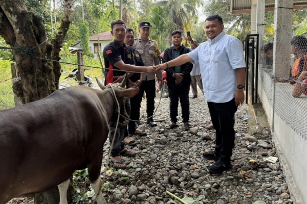 Jamaluddin Idham Serahkan Bantuan Sapi Kepada Keluarga Syuhada GAM di Nagan Raya