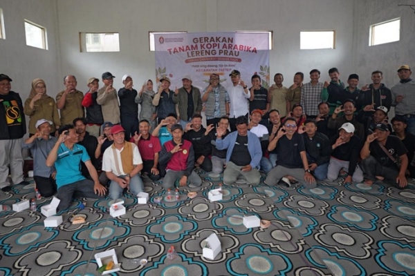 Temanggung Terima Bantuan Bibit Kopi Arabika Sebanyak 500.000 Batang