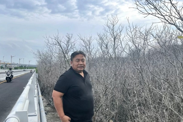 Nyoman Parta Desak Pelindo Jelaskan Kematian Mendadak Ratusan Mangrove di Pesisir Bonoa