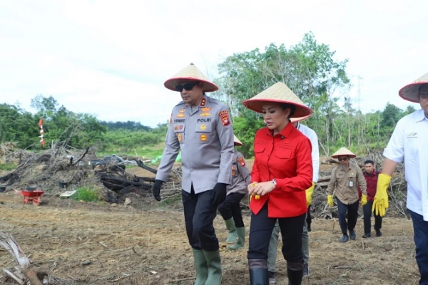 Karolin Dukung Swasembada Jagung Sebagai Upaya Kemandirian Pangan & Hilirisasi Peternakan   