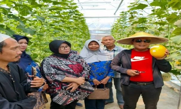 Sujiwo Ajak Warga Manfaatkan Pekarangan Rumah Agar Bisa Bernilai Ekonomis