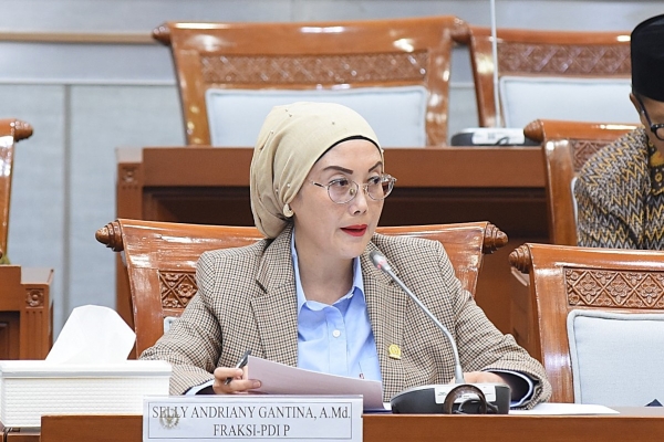 Selly Gantina Dorong Perkuat Fungsi Kementerian Sosial