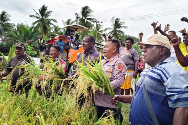 Edoardus Kaize Puji Keberhasilan Panen Perdana Padi Masyarakat Kampung Matara, Merauke