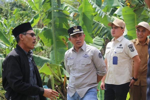 Parosil Instruksikan Sambung Kembali Jalan Padang Tambak