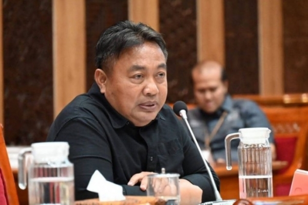 Nyoman Parta: Kerusakan Hutan di Pulau Dewata Makin Parah, Desak Penegakan Hukum