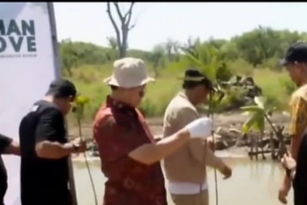 Taman 1.000 Mangrove di Cirebon, Rokhmin Dahuri: Mangrove Harta Karun Ekologi Tak Ternilai