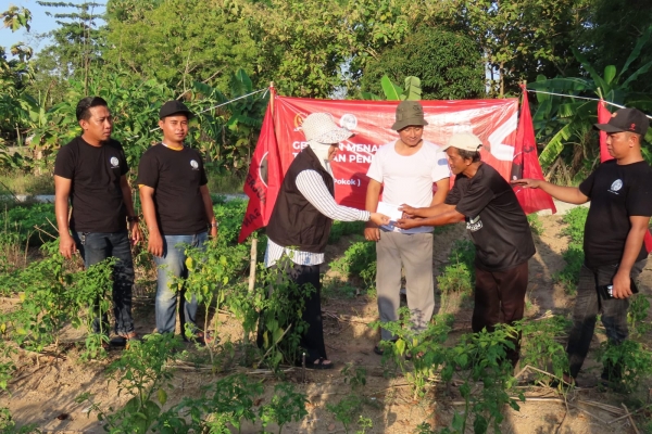 Ansari Gencarkan Penanaman Pangan Alternatif dan Bantu Petani di Pamekasan