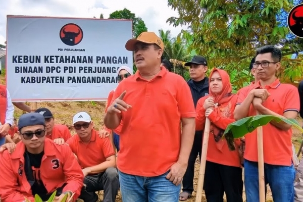 Banteng Pangandaran Sulap Lahan Tidak Produktif Jadi Lumbung Pangan