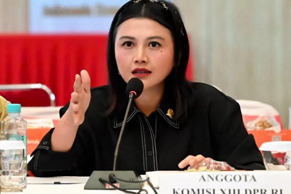 Antisipasi Virus Hanta, Vita Ervina Desak Pengetatan Skrining di Pintu Masuk Laut