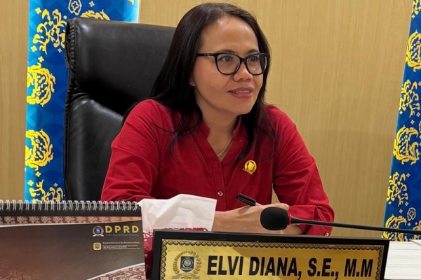 Elvi Diana: Tiga Pilar Utama Jaga Profitabilitas dan Kredit Bank BUMN Tetap Kokoh