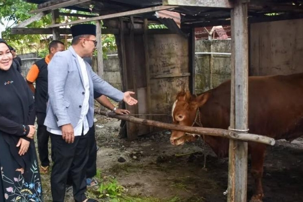 Sujiwo Apresiasi Kekompakan OPD Kubu Raya Kumpulkan 29 Hewan Kurban