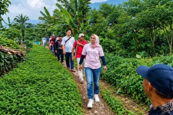 Sadarestuwati Kunjungan Lapangan Tinjau Potensi Wonosalam: Kekuatan Pangan Dimulai dari Desa