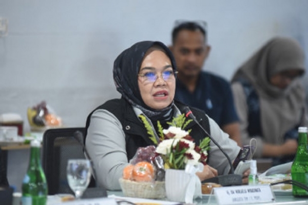 Blackout Sumatera, Ida Nurlaela: PLN Harus Evaluasi Menyeluruh, Cepat, dan Transparan 