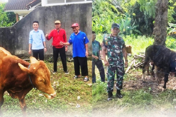 Sambut Idul Adha di Lampung, Sudin Serahkan Tiga Ekor Sapi Kurban 