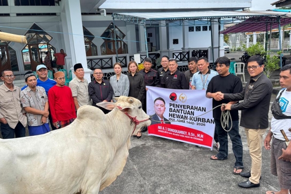 Rio Dondokambey Beri Bantuan 1 Ekor Sapi Kurban kepada Jamaah Masjid Agung Al Falah Kyai Mojo Tondano