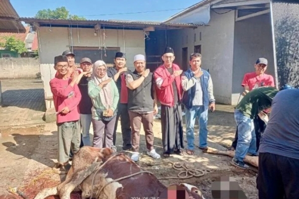 Sarat Makna Sosial, DPC PDI Perjuangan Depok Sembelih Hewan Kurban di Hari Raya Iduladha 1447 H