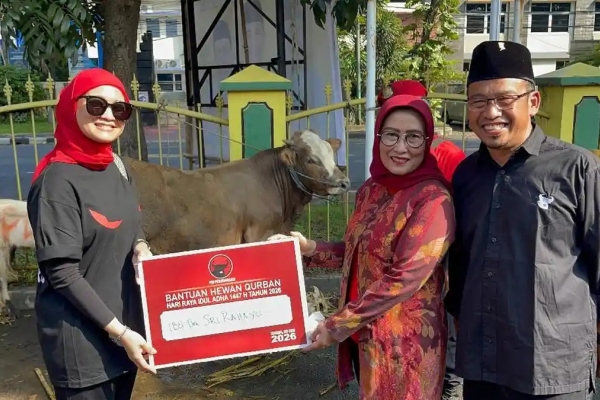 Iduladha 1447 H, DPC PDI Perjuangan Kota Malang Salurkan 2.500 Paket Daging Kurban