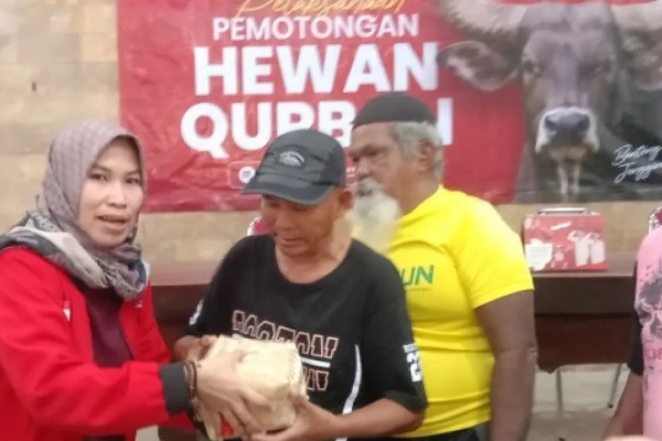 Iduladha 1447 H: PDI Perjuangan Salurkan 11 Ekor Sapi Kurban Terbaik ke Ponpes dan Masjid di Banyuwangi