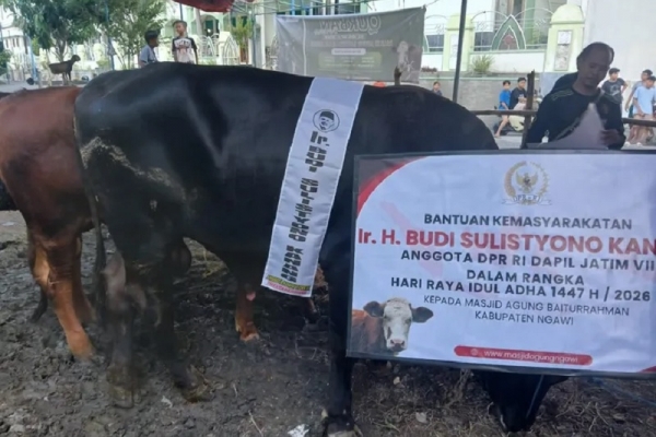 Idul Adha 1447 H, Kanang Salurkan Kurban 12 Sapi dan 109 Kambing Untuk Warga Dapil VII Jawa Timur