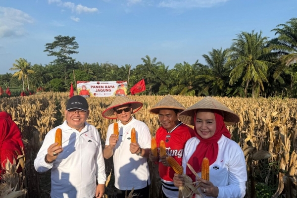 Prof. Rokhmin Dahuri Pimpin Panen Ikan dan Jagung di Palas, Perkuat Kedaulatan Pangan dari Desa