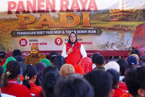 Sokong Ketahanan Pangan, PDI Perjuangan Panen Raya hingga Tebar 70 Ribu Benih Ikan di Lampung Tengah