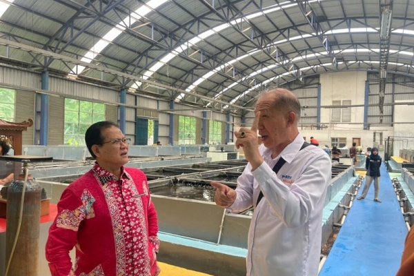 Rokhmin Dahuri: Indonesia Miliki Peluang Besar Pusat Industri Ikan Hias, Tapi Baru Dimanfaatkan Kurang dari 25 Persen