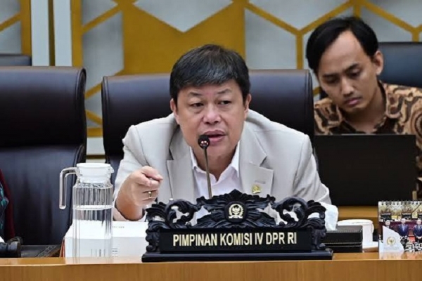 Alex Indra Lukman Sebut Penanganan Karhutla Harus Beralih ke Pencegahan Dini  