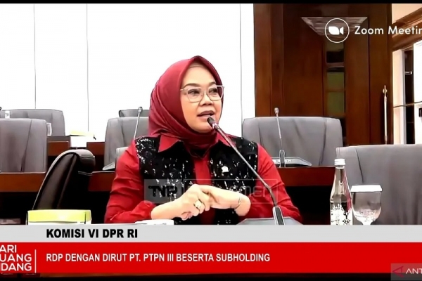 Alternatif Hilirisasi Pangan dan Energi, Ida Nurlaela Usulkan PTPN Kembangkan Bioetanol Berbasis Sorgum