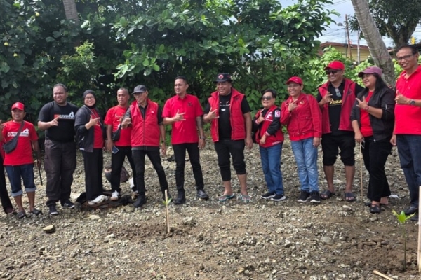 Politik Hijau, PDI Perjuangan Tanam 1.000 Bibit Mangrove di Pesisir Teluk Ambon yang Tergerus Abrasi dan Pembangunan