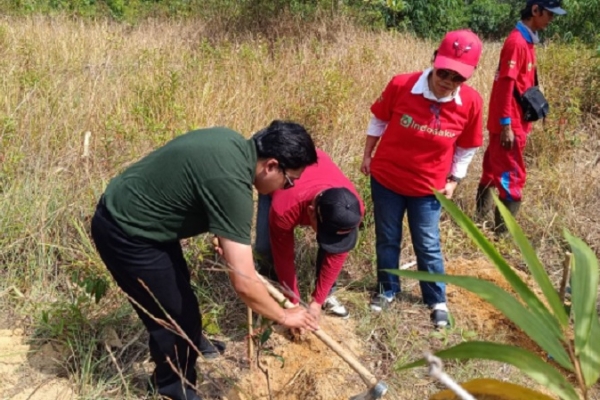 Tanam Pohon di Tahura Menumbing, Elvi Diana Gaungkan Gerakan Merawat Bumi