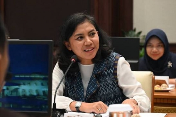 Irine Roba Tekankan Green Transport, Perlindungan Disabilitas, Skema Subsidi Dalam Transportasi Publik