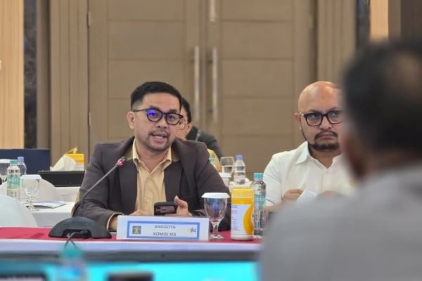 Marinus Gea Usul Indonesia Segera Miliki Undang-Undang tentang AI