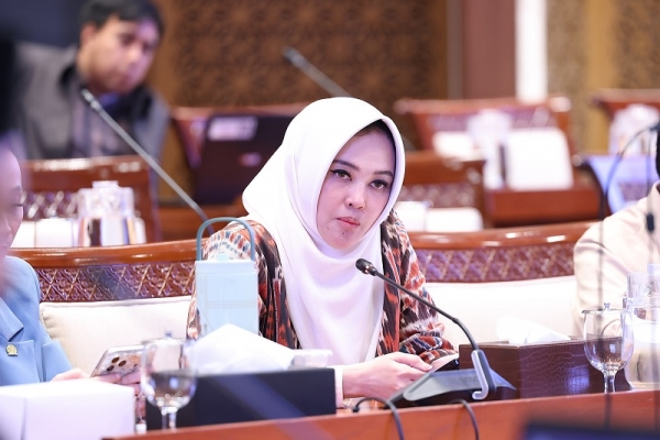 Sarifah Ainun Jariyah Minta Kaji Matang Pelibatan TNI dan Polri Dalam Pengawasan Kepatuhan Perpajakan