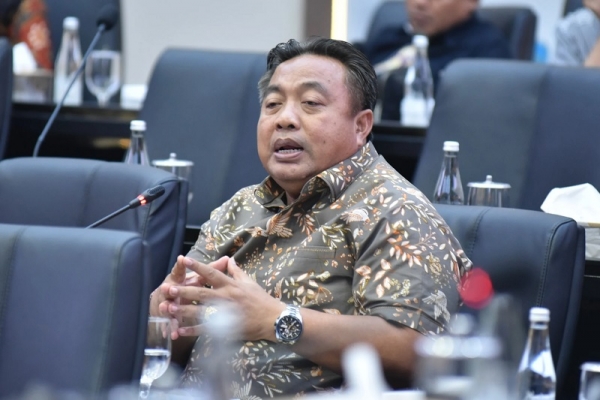 Cegah Multitafsir, Nyoman Parta Minta Pengaturan Fungsi Hutan Dalam RUU Kehutanan Diperjelas