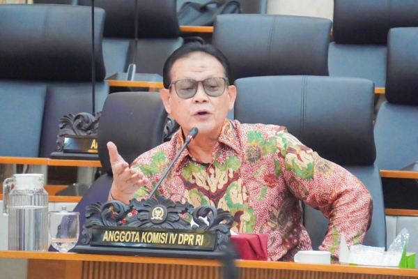 Penyelundupan Bibit Lobster Rugikan Negara Rp16 Triliun, Rokhmin Desak Pemerintah Bongkar Aktor Intelektual