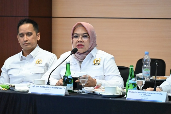 Ida Nurlaela Dorong BUMN Kembangkan Energi Panas Bumi Untuk Listrik