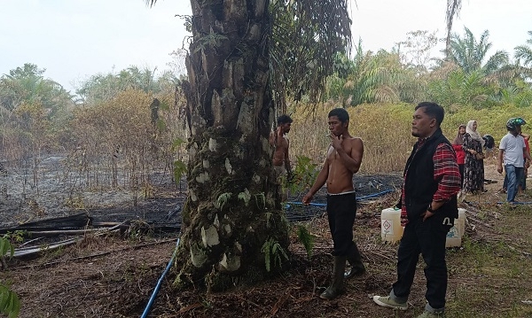 Turun Langsung Padamkan Karhutla di Selunuk, Subani Imbau Warga Seruyan Tak Bakar Lahan