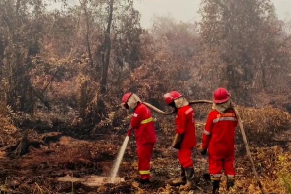 Sonny Danaparamita Desak Kemenhut Cabut Izin Perusahaan di Tengah Karhutla Kalimantan