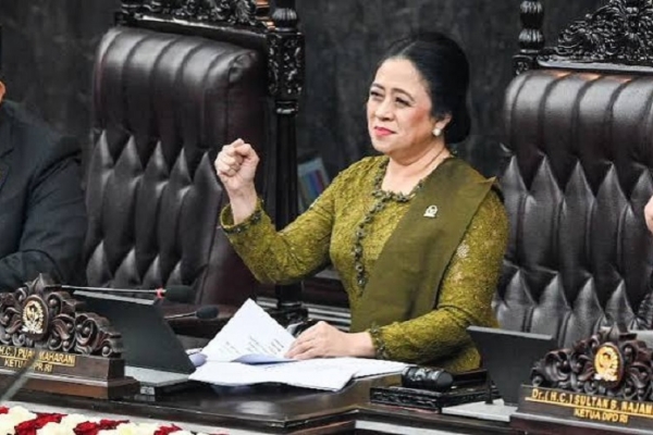 Biang Kerok Karhutla, Puan Desak 21 Badan Usaha Terindikasi Disanksi Tegas
