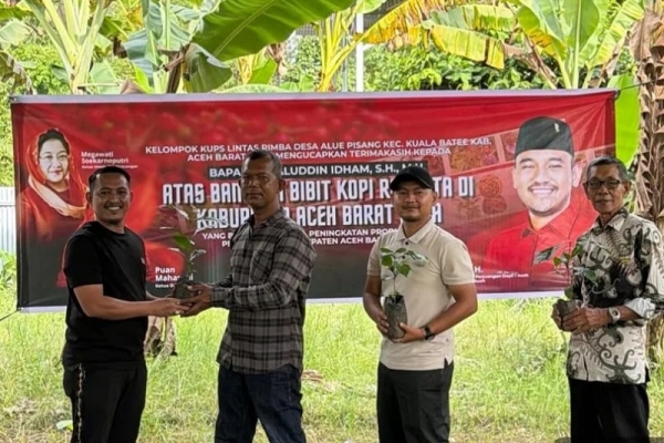Dukung Ekonomi Petani Abdya, Jamaluddin Idham Salurkan Ribuan Bibit Kopi
