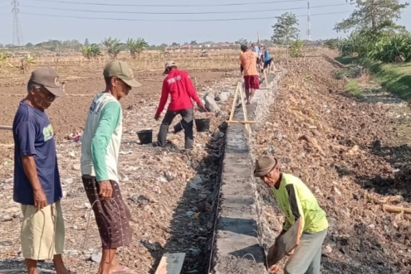 Atasi Banjir Menahun di Kemurang Kulon, Shanty Alda Gandeng PLN Bangun Infrastruktur Irigasi