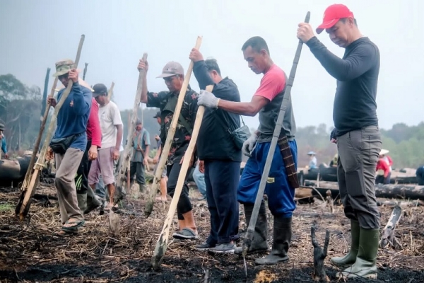 Kearifan Lokal, Bupati Fransiskus Diaan Turun Langsung Ikuti Tradisi Menugal Padi Ladang