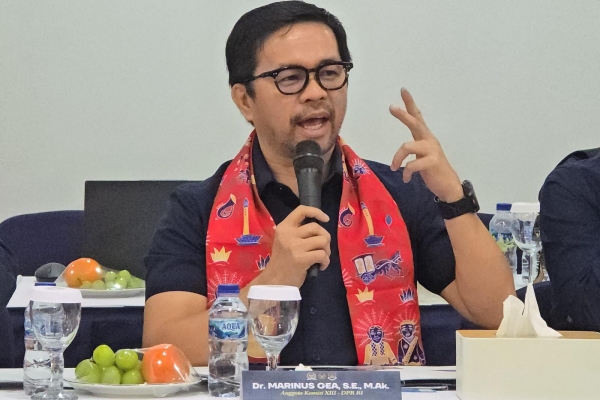  Marinus Gea Soroti Ketimpangan Pengawasan Orang Asing dan Perlindungan WNI