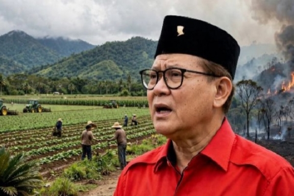 Prof. Rokhmin Dahuri: Food Estate Papua dan Karhutla