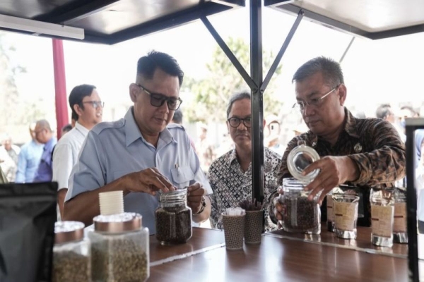 Dorong Kopi Merapi Naik Kelas, Pemkab Sleman Luncurkan 'Koling' dan 'Darling'
