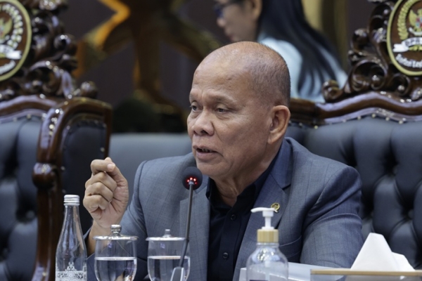 RUU Satu Data Indonesia Masuki Pembicaraan Tingkat I, Kebijakan Pemerintah Harus Miliki Rujukan Sama
