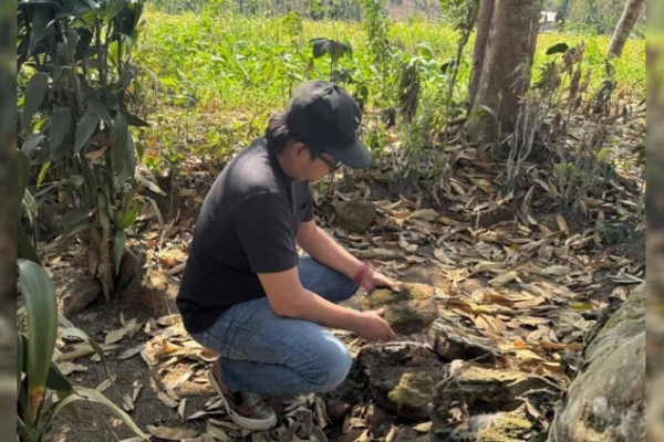 Geger Benda Purbakala Hilang, Candra Ary Fianto: Jember Darurat Cagar Budaya