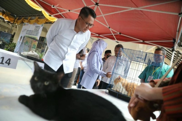 Jaga Status Bebas Rabies, Pemkab Sleman Gelar Vaksinasi Hewan Gratis dan Kontes Kucing